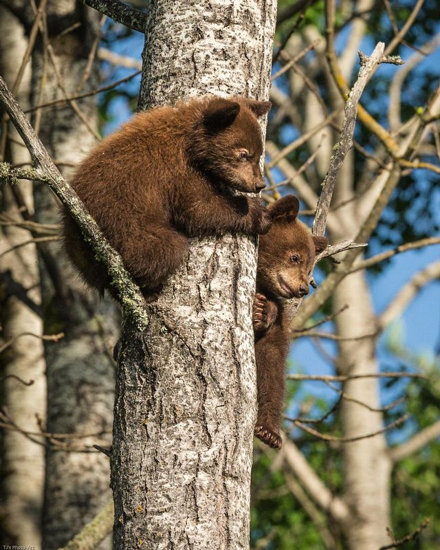 TSJ_20140604_14281.jpg :: \