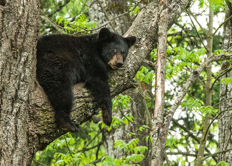 TSJ_20140605_27422.jpg :: \