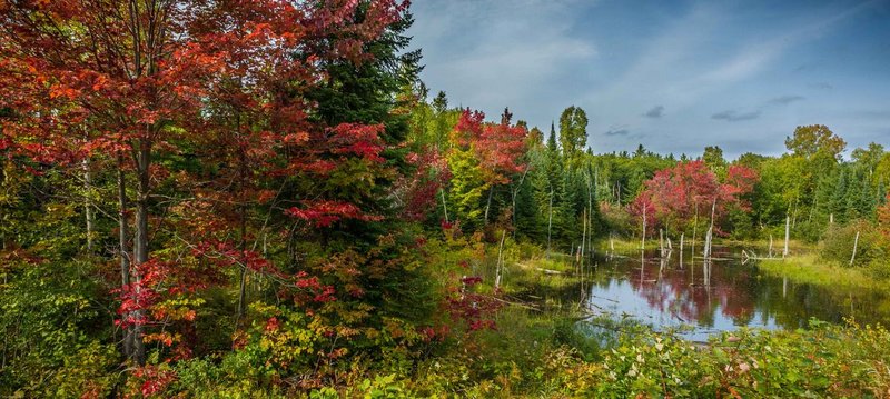 TSJ_20140919_3250.jpg :: Fall Colors 
Canada