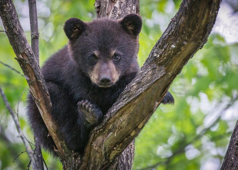 TSJ_20150602_07091.jpg :: \