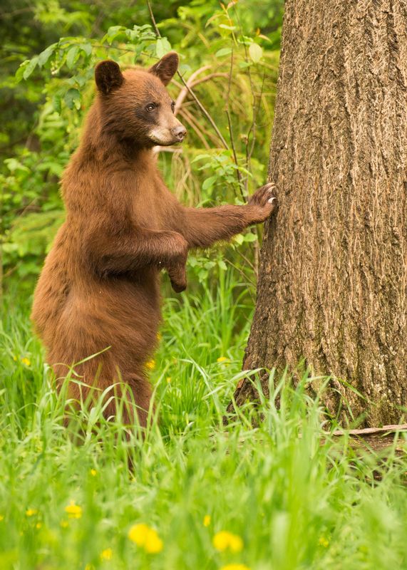 TSJ_20150602_1685.jpg :: \