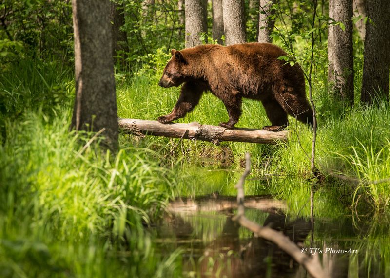 TSJ_20150604_5767.jpg :: \