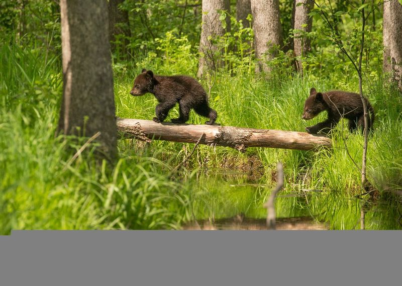 TSJ_20150604_5795.jpg :: \