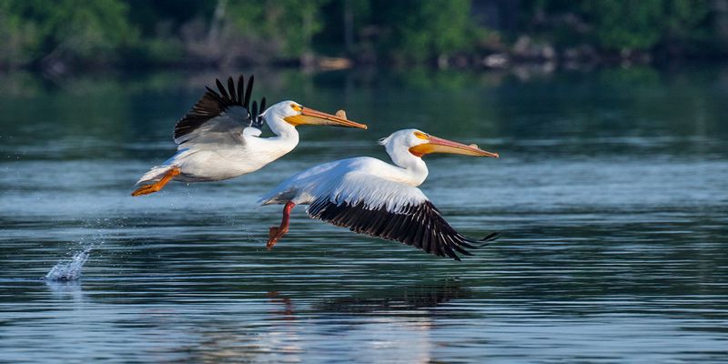 TSJ_20150605_67741.jpg :: \