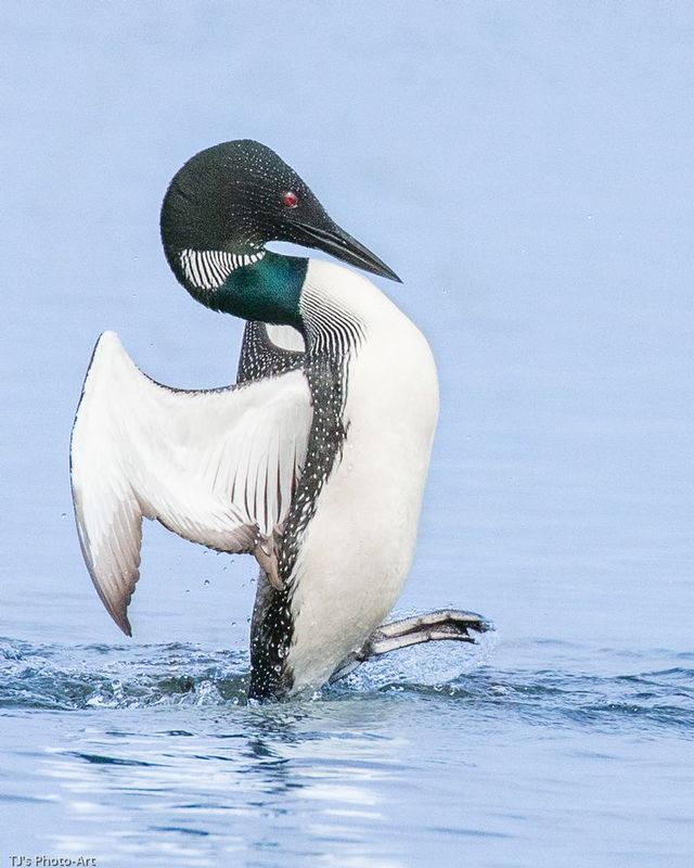 TSJ_20150606_1440.jpg :: \