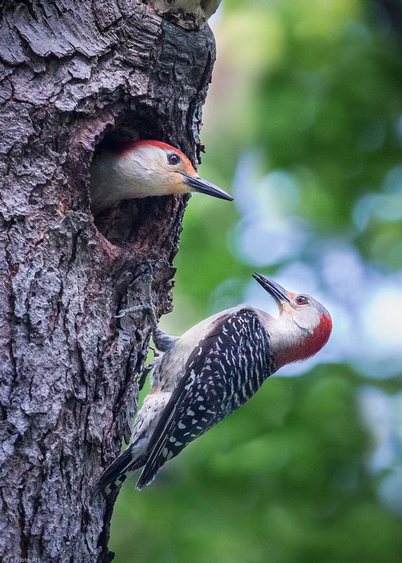 TSJ_20150629_1995.jpg :: \