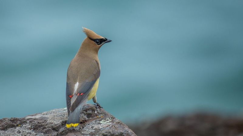 TSJ_20150808_6994.jpg :: \