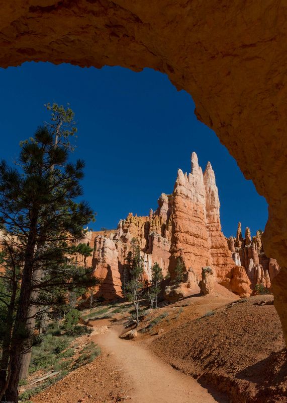 TSJ_20150917_3444.jpg :: Bryce Canyon 