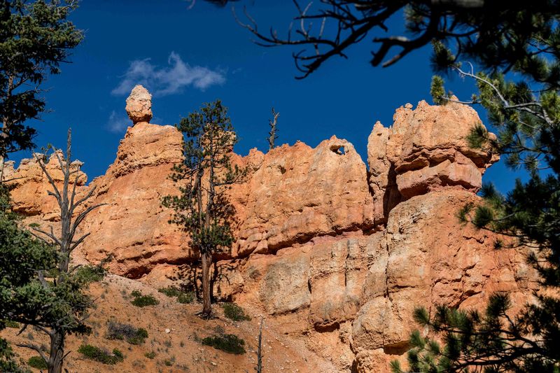 TSJ_20150917_3837.jpg :: Bryce Canyon 