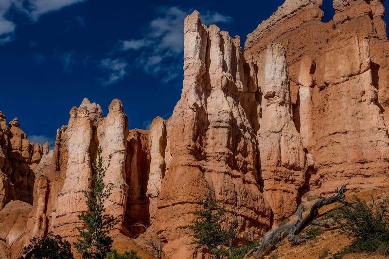 TSJ_20150917_3848.jpg :: Bryce Canyon