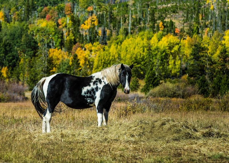 TSJ_20150921_4894.jpg :: \