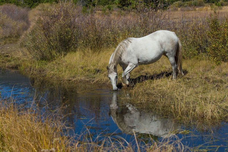 TSJ_20150921_5044.jpg :: \