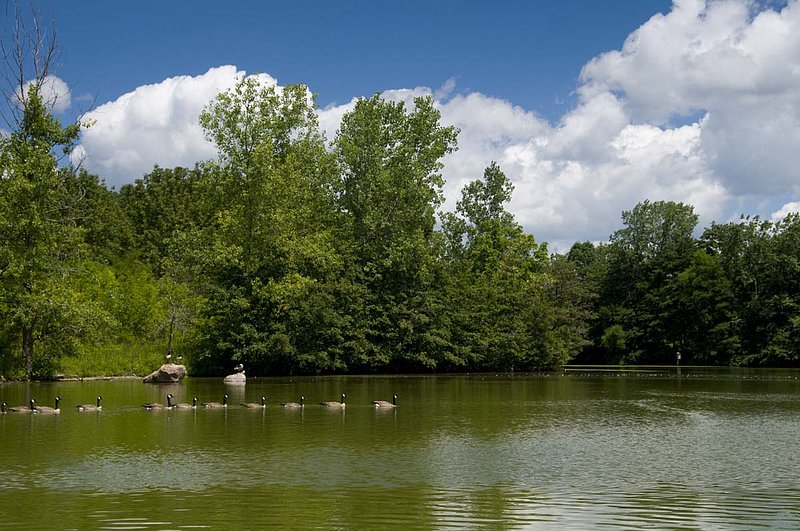 Westerville_7084679.jpg
