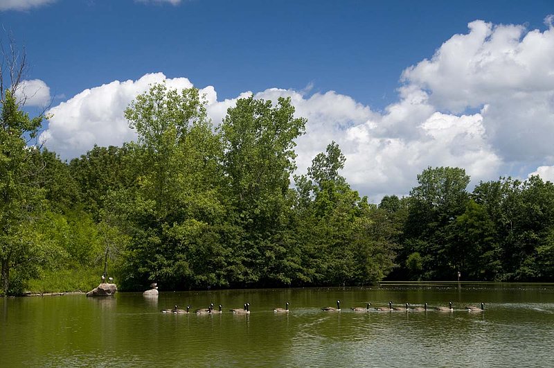 Westerville_7084680.jpg