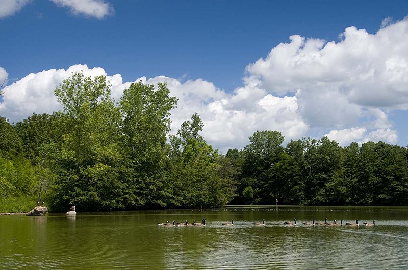 Westerville_7084681.jpg