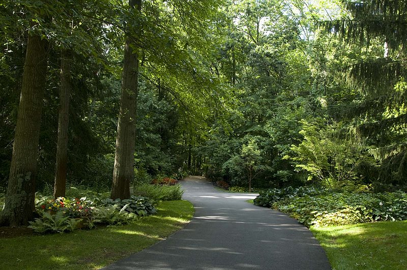 Westerville_7084794.jpg