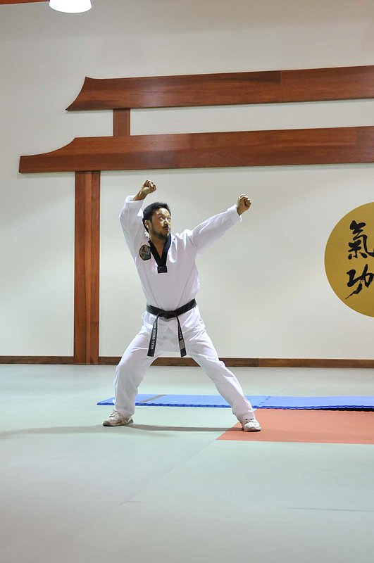 Yongin Univ Demo_0794435.jpg :: Tae Kwon Do Demonstration