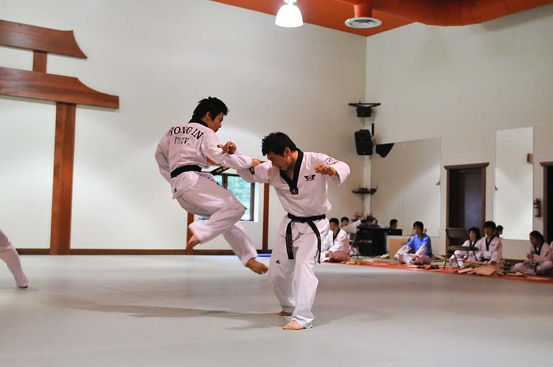 Yongin Univ Demo_0794885.jpg :: Tae Kwon Do Demonstration