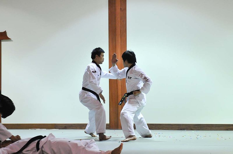 Yongin Univ Demo_0794921.jpg :: Tae Kwon Do Demonstration