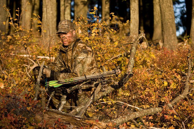 ©TC-Bowhunter-D90010-00621.jpg :: Bowhunter (wearing Advantage AP Brown Camo carrying a Hoyt Compound Bow) crouched down in deadfall and brush rattling for whitetails