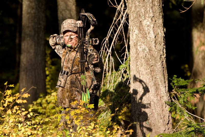 ©TC-Bowhunter-D90010-00641.jpg :: Bowhunter (wearing Advantage AP Brown Camo carrying a Hoyt Compound Bow) at full draw in timber and brush