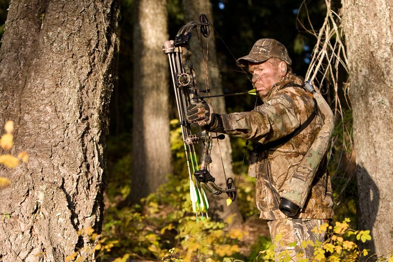 ©TC-Bowhunter-D90010-00660.jpg :: Bowhunter (wearing Advantage AP Brown Camo carrying a Hoyt Compound Bow) at full draw in timber and brush while elk hunting