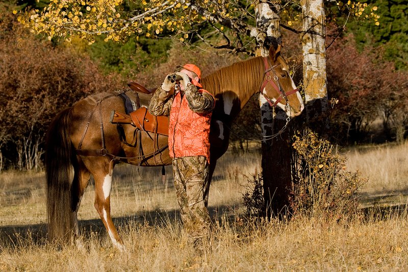 ©TC-Hunter Horseback-D89994-00513.jpg :: Rifle Hunter wearing Advantage HD Brown Camo w/Realtree camo florscent ornage vest/Rocky Mountain Elk Foundation Orange hat glasses for game while horse stands roped to an aspen tree next to him