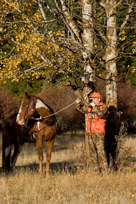 ©TC-Hunter Horseback-D89994-00518.jpg :: Rifle Hunter wearing Advantage HD Brown Camo w/Realtree camo florscent ornage vest/Rocky Mountain Elk Foundation Orange hat bugles for elk while horse stands roped to an aspen tree next to him