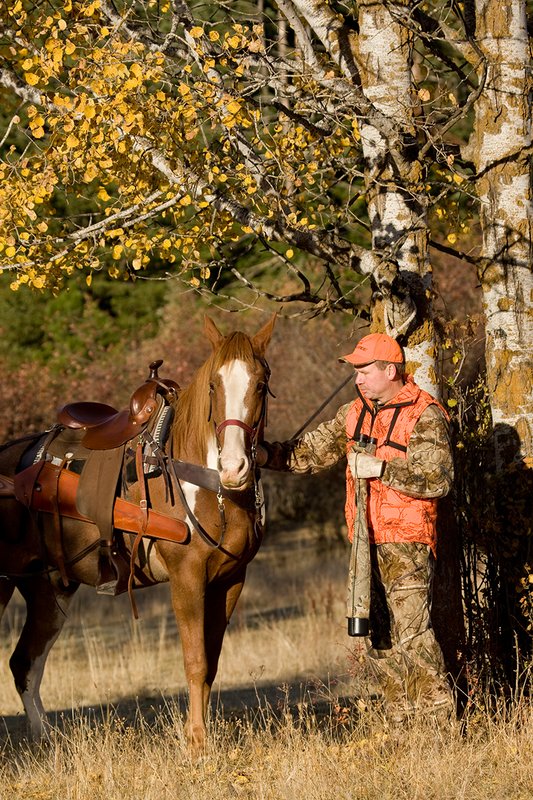 ©TC-Hunter Horseback-D89994-00522.jpg :: Rifle Hunter wearing Advantage HD Brown Camo w/Realtree camo florscent ornage vest/Rocky Mountain Elk Foundation Orange hat bugles for elk while horse stands roped to an aspen tree next to him