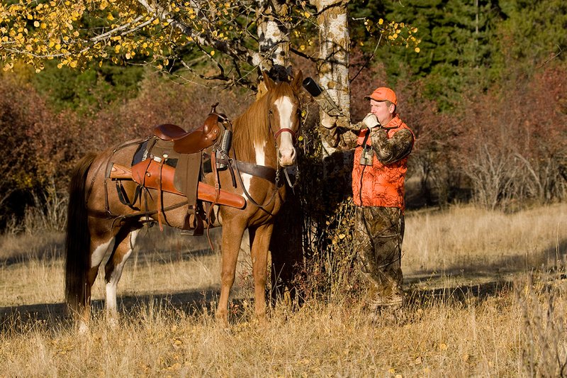 ©TC-Hunter Horseback-D89994-00537.jpg :: Rifle Hunter wearing Advantage HD Brown Camo w/Realtree camo florscent ornage vest/Rocky Mountain Elk Foundation Orange hat bugles for elk while horse stands roped to an aspen tree next to him