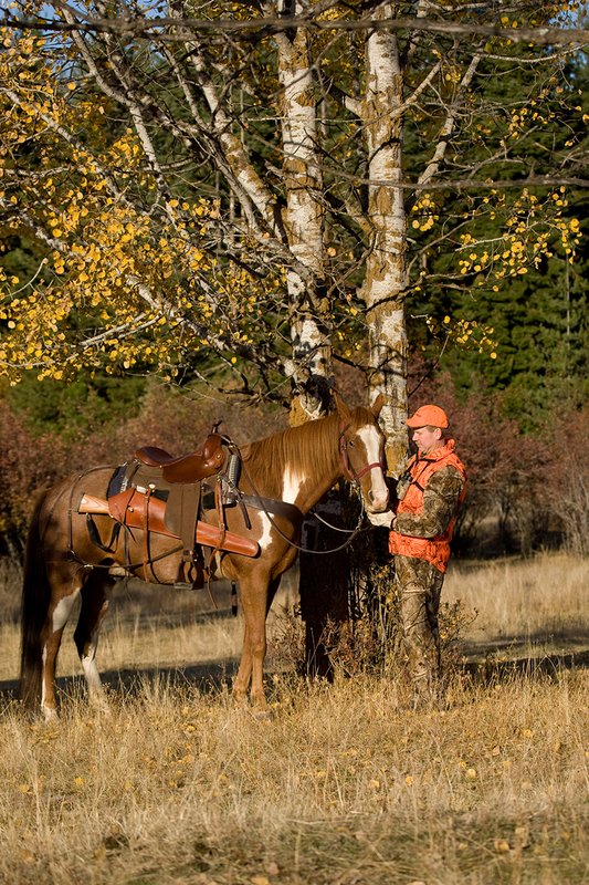 ©TC-Hunter Horseback-D89994-00555.jpg :: Rifle Hunter wearing Advantage HD Brown Camo w/Realtree camo florscent ornage vest/Rocky Mountain Elk Foundation Orange hat pauses during hunt to talk to his horse