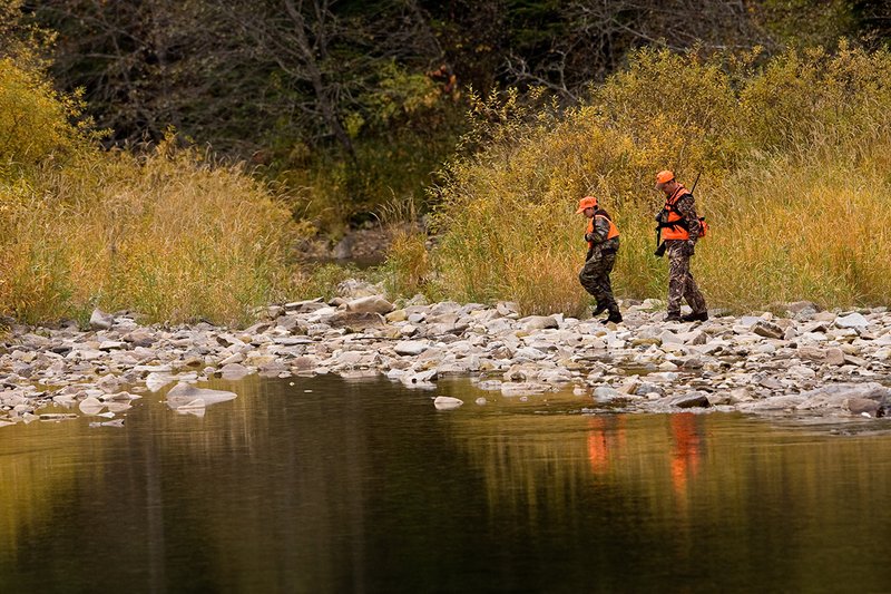 ©TC-Hunter Parent Child-D89995-00015.jpg :: Father wearing Advantage Max 4 camo w/florescent orange vest & hat hunts with his son wearing Realtree Brown camo and florescent orange vest/hat hunt along a river backwater in fall colors