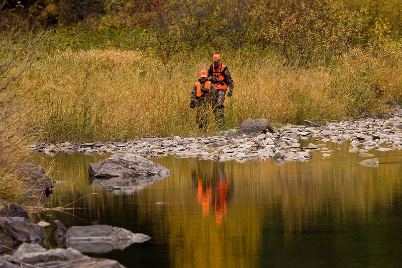 ©TC-Hunter Parent Child-D89995-00026.jpg :: Father wearing Advantage Max 4 camo w/florescent orange vest & hat hunts with his son wearing Realtree Brown camo and florescent orange vest/hat hunt along a river backwater in fall colors