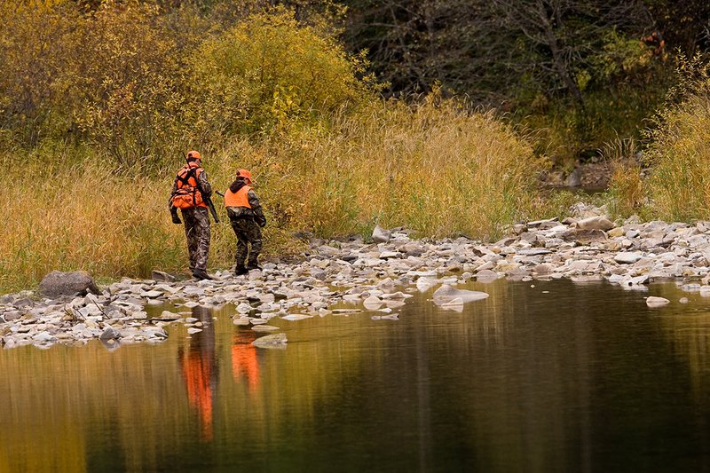 ©TC-Hunter Parent Child-D89995-00033.jpg :: Father wearing Advantage Max 4 camo w/florescent orange vest & hat hunts with his son wearing Realtree Brown camo and florescent orange vest/hat hunt along a river backwater in fall colors