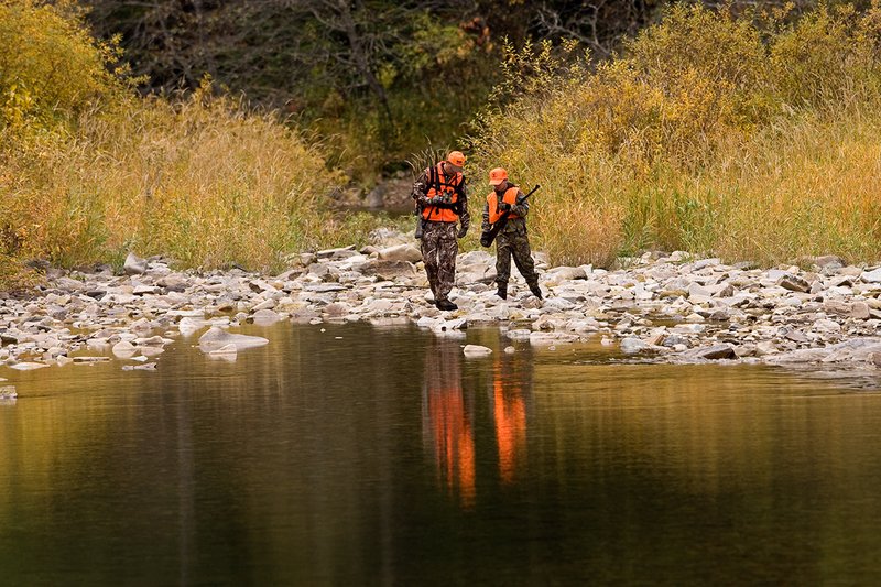 ©TC-Hunter Parent Child-D89995-00038.jpg :: Father wearing Advantage Max 4 camo w/florescent orange vest & hat hunts with his son wearing Realtree Brown camo and florescent orange vest/hat hunt along a river backwater in fall colors