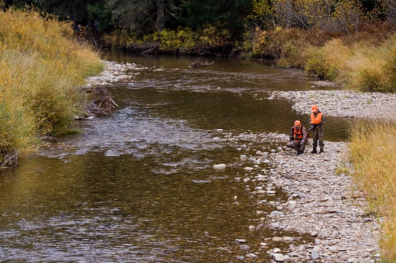 ©TC-Hunter Parent Child-D89995-00045.jpg :: Father wearing Advantage Max 4 camo w/florescent orange vest & hat hunts with his son wearing Realtree Brown camo and florescent orange vest/hat along a river in fall colors