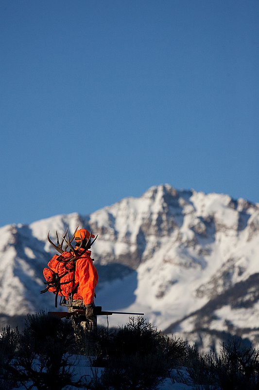 ©TC-Rifle Hunter in Snow-D089999-00584.jpg :: Rifle Hunter wearing florescent orange coat/hat pauses as he packs out the meat and rack of trophy mule deer buck with the grandeur of a snowcapped mountain peak in the background