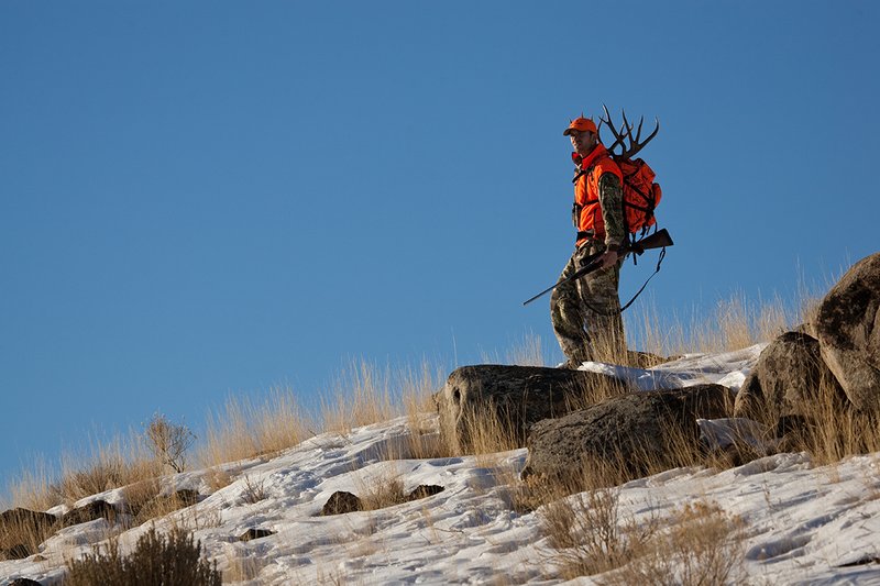 ©TC-Rifle Hunter in Snow-D089999-00654.jpg :: Rifle Hunter wearing Advantage Max1-HD camo with florescent orange hat/vest carrying a backpack with meat and rack of trophy mule deer along the crest of a mountain ridge