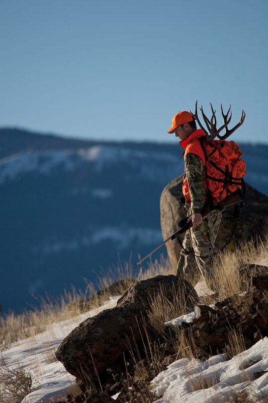 ©TC-Rifle Hunter in Snow-D089999-00683.jpg :: Rifle Hunter wearing Advantage Max1-HD camo with florescent orange hat/vest carrying a backpack with meat and rack of trophy mule deer along the crest of a mountain ridge