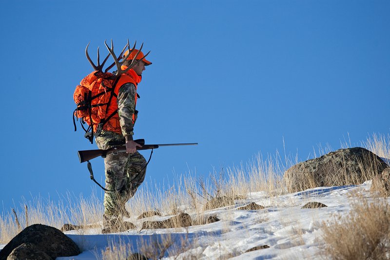 ©TC-Rifle Hunter in Snow-D089999-00702.jpg :: Rifle Hunter wearing Advantage Max1-HD camo with florescent orange hat/vest carrying a backpack with meat and rack of trophy mule deer along the crest of a mountain ridge