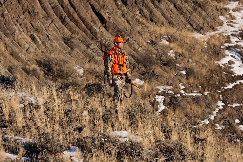 ©TC-Rifle Hunter in Snow-D089999-00852.jpg :: Rifle Hunter wearing Advantage Max1-HD camo with florescent orange hat/vest carrying a backpack with meat and rack of trophy mule deer