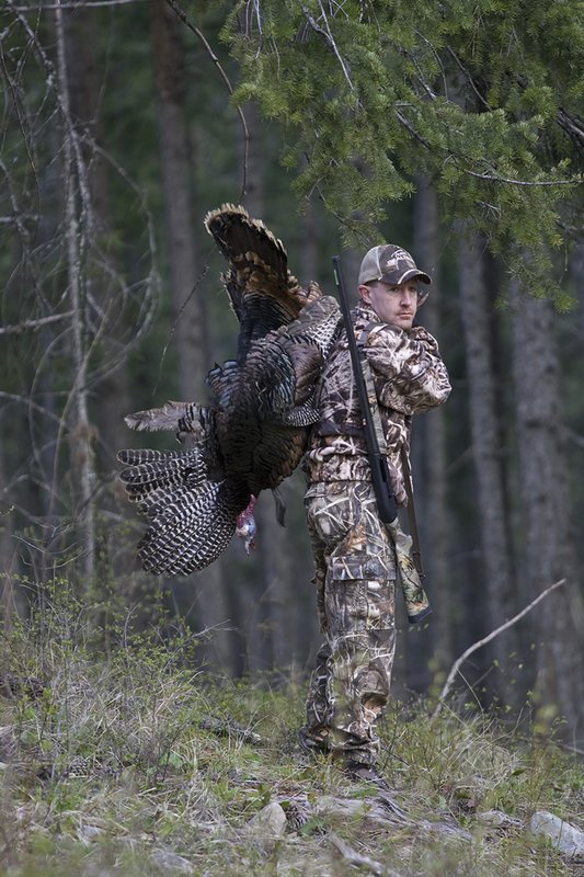 ©TC-Turkey Hunting-D90006-00390.jpg :: Turkey Hunter wearing Advantage Max 4HD Camo carrying Merriam Wild turkey out of the woods
