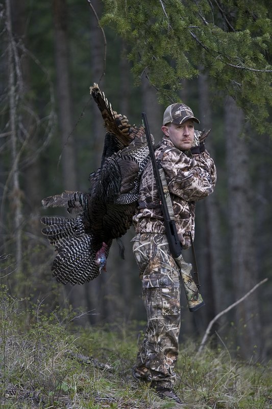 ©TC-Turkey Hunting-D90006-00393.jpg :: Turkey Hunter wearing Advantage Max 4HD Camo carrying Merriam Wild turkey out of the woods