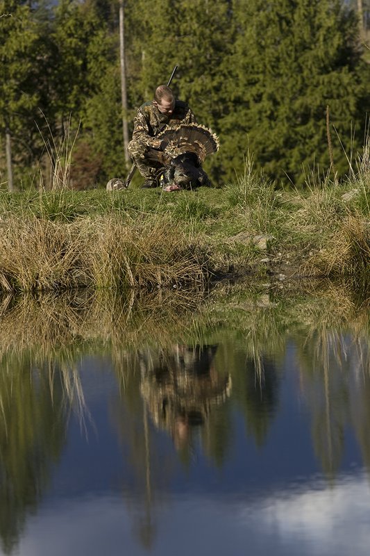 ©TC-Turkey Hunting-D90006-00426.jpg :: Turkey Hunter wearing Advantage Max 4HD Camo admiring his Merriam Long bearded gobbler at edge of pond.  Image of hunter and mountains reflected on surface of the pond.