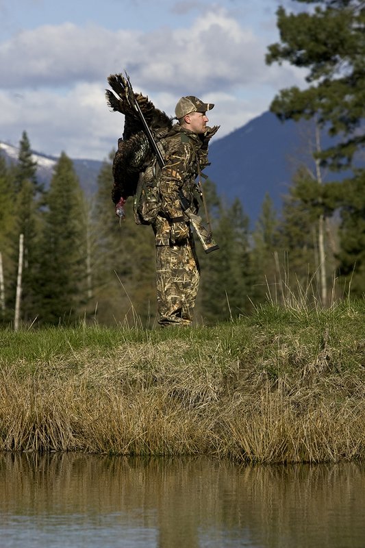 ©TC-Turkey Hunting-D90006-00450.jpg :: Turkey Hunter wearing Advantage Max 4HD Camo carrying Merriam Wild turkey out of the woods. Image of hunter and mountains reflected on surface of the pond.
