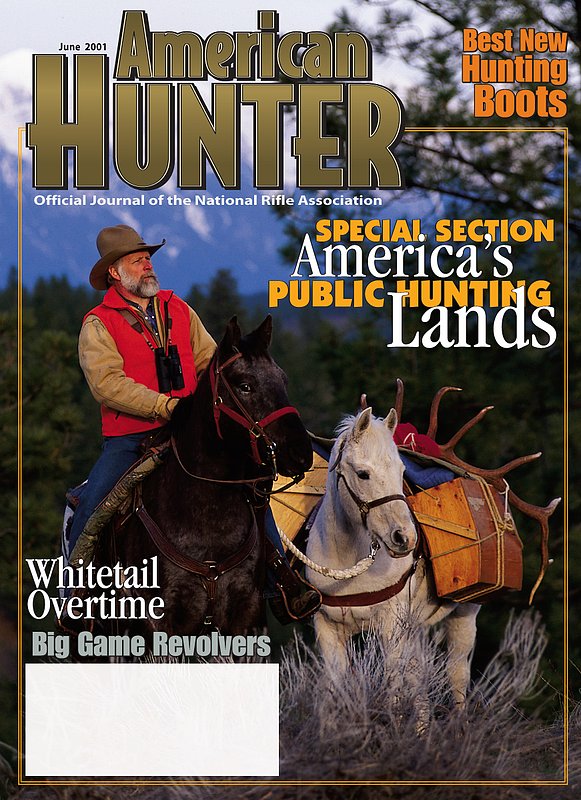 American Hunter-Packstring.jpg