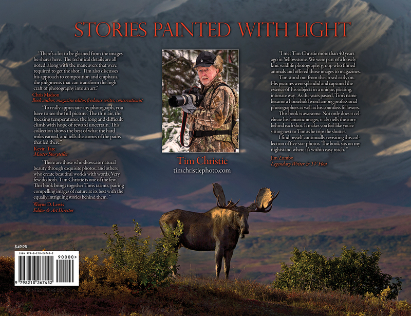 Back cover of book.jpg