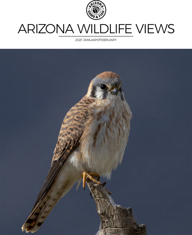 Cover_Wildlife Views Jan-Feb 2021.jpg