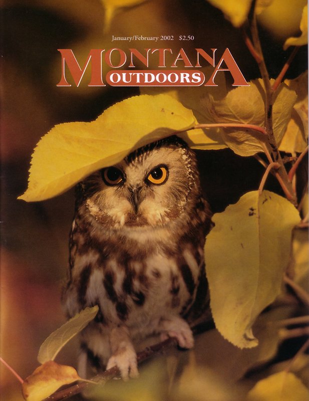Montana Outdoors.jpg