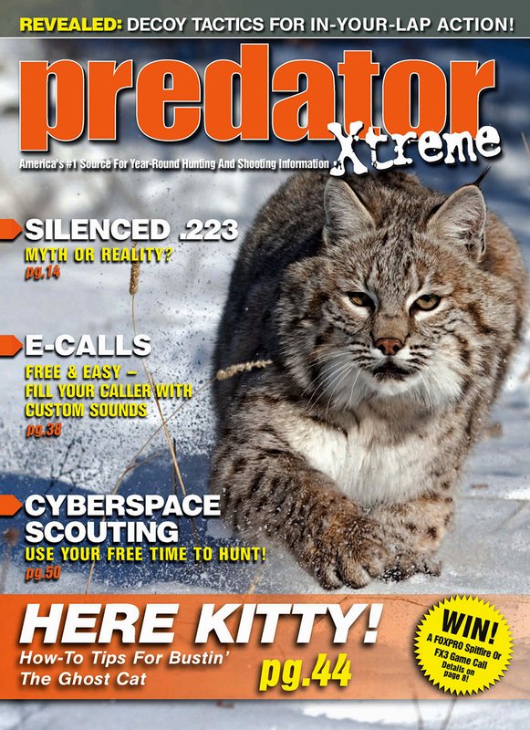 Predator Extreme Bobcat.jpg